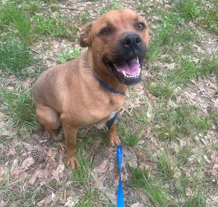 Photo of Baxter