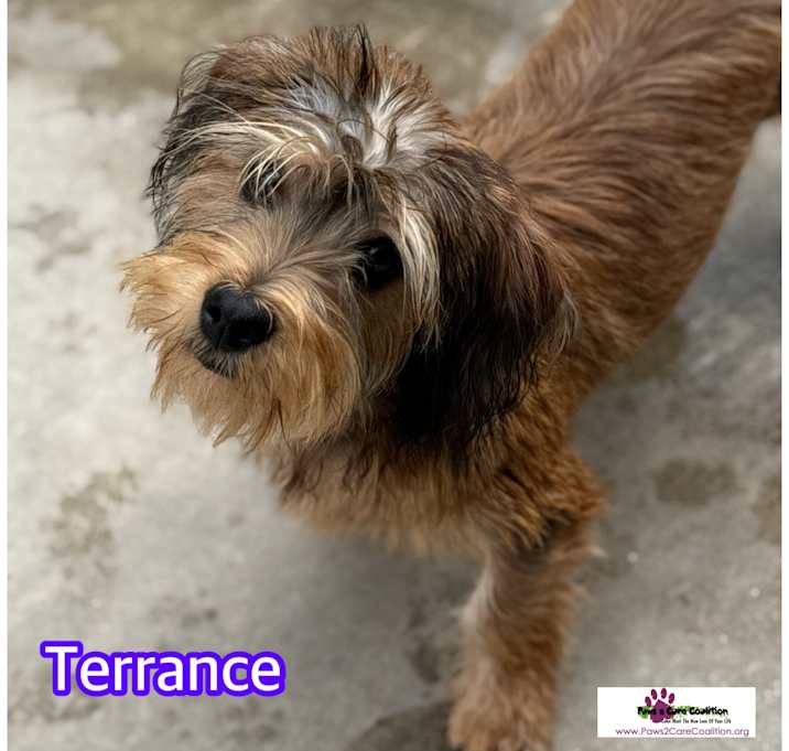 Photo of Terrenace
