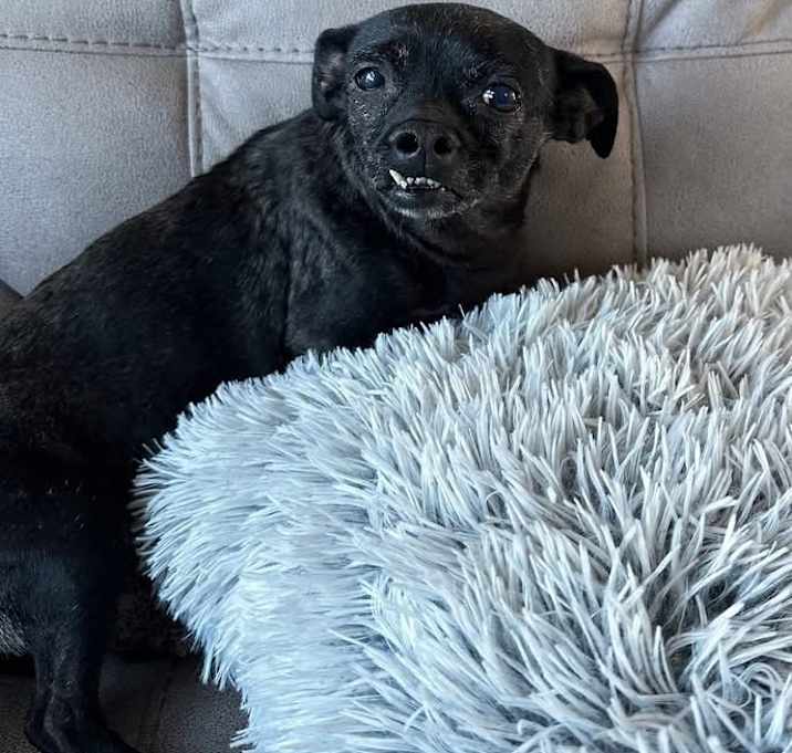 Photo of Xena