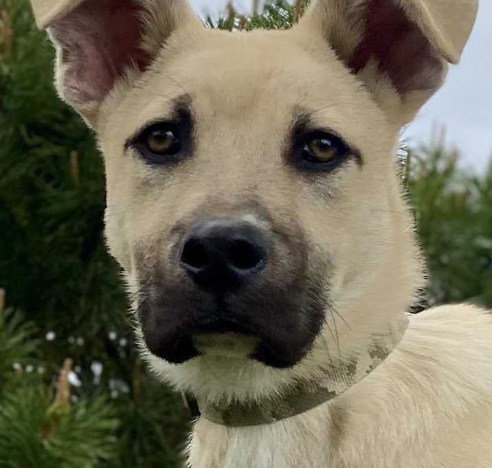 Photo of Buzz