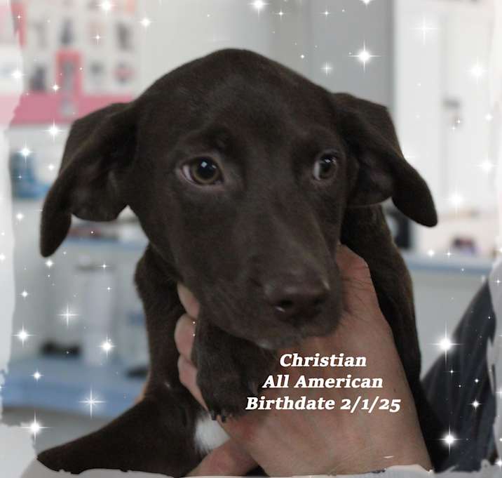 Photo of Christian