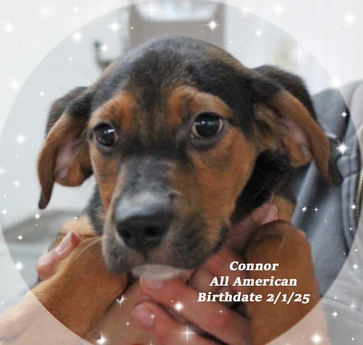 Photo of Connor