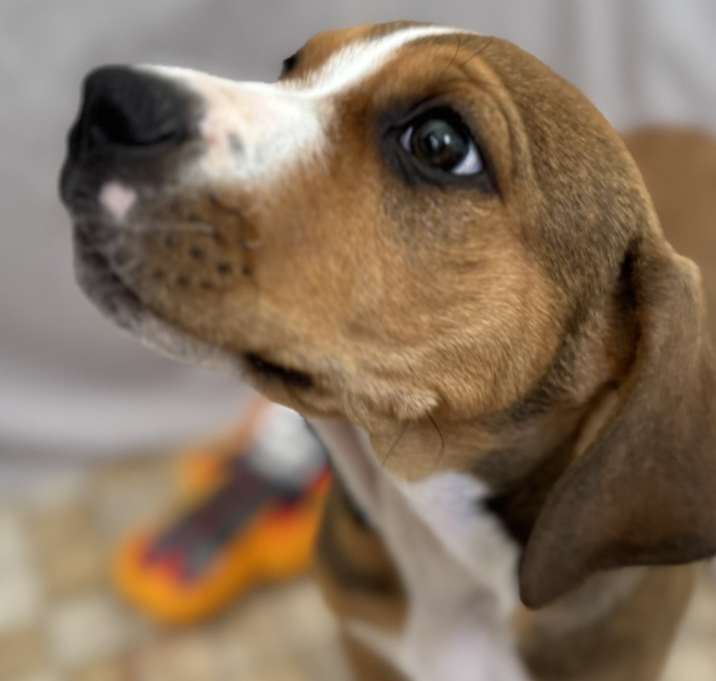 Photo of Francesca