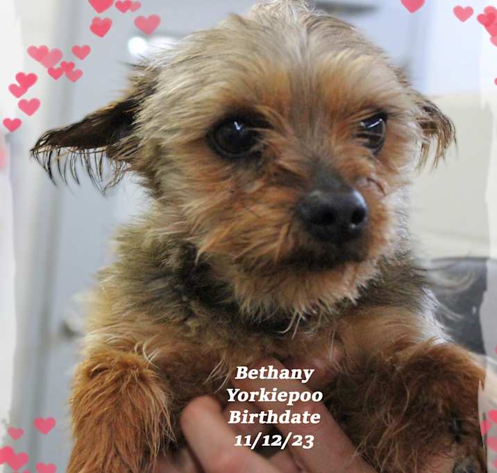 Photo of Bethany