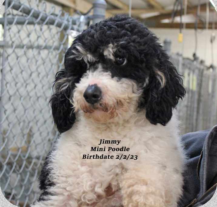 Photo of Jimmy