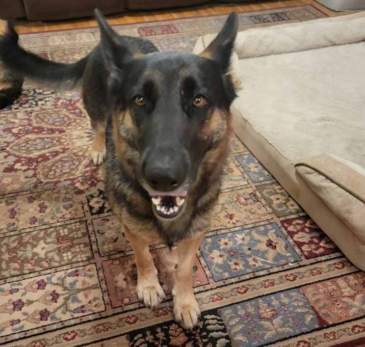 Photo of Leela