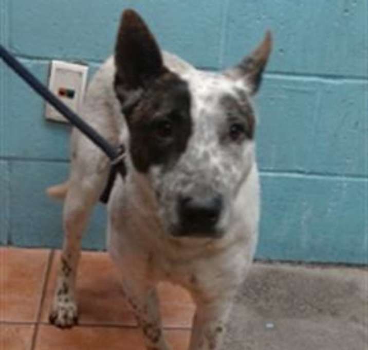 Photo of ROXY