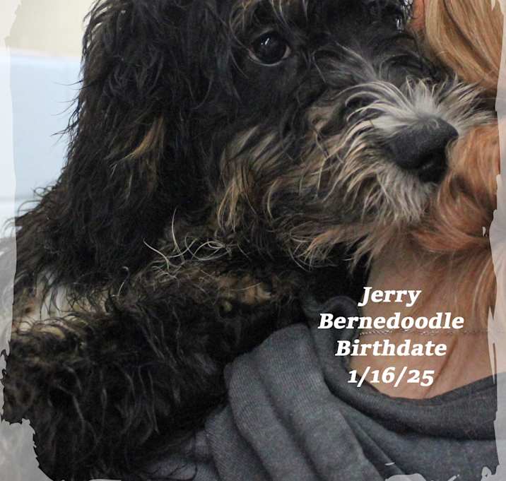 Photo of Jerry