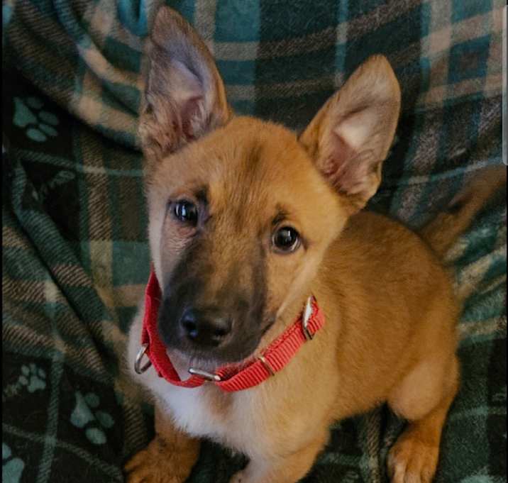 Photo of Louie Louie