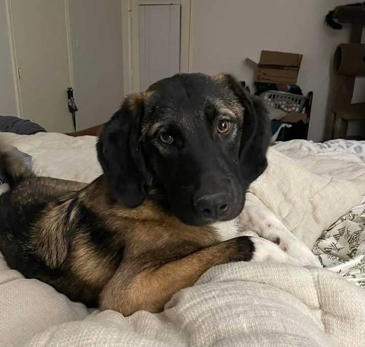 Photo of 24-108 Cinder