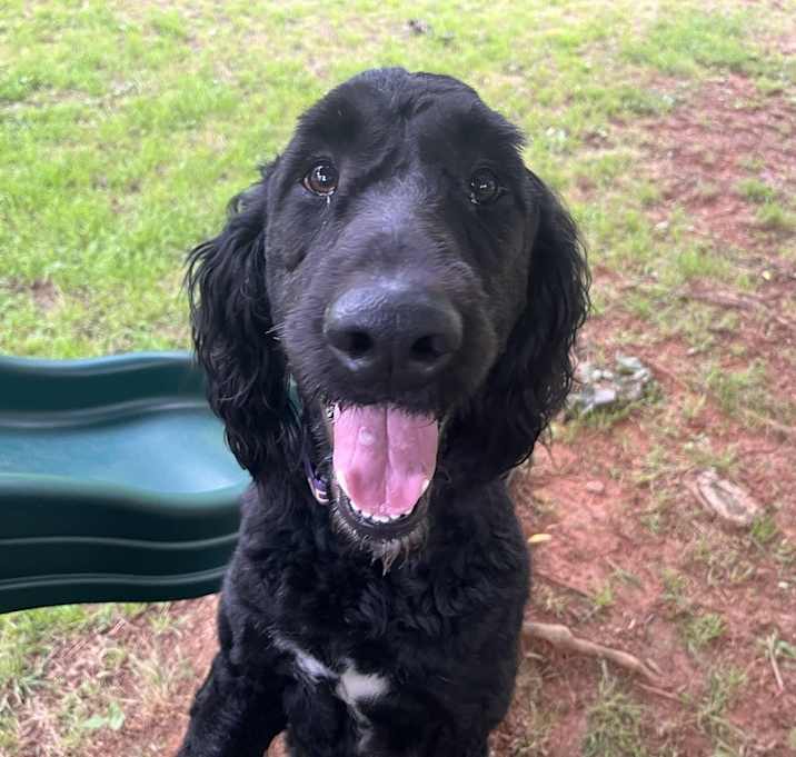 Photo of Jack