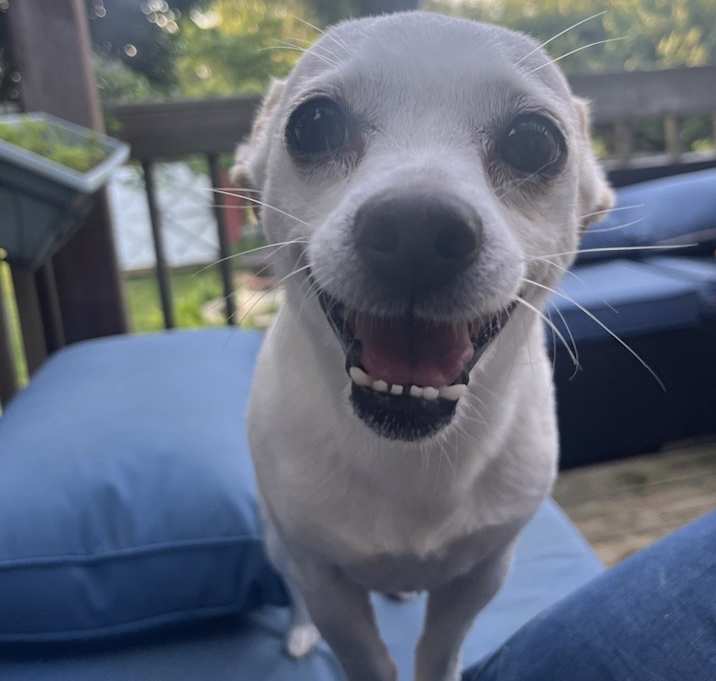 Photo of Diggs