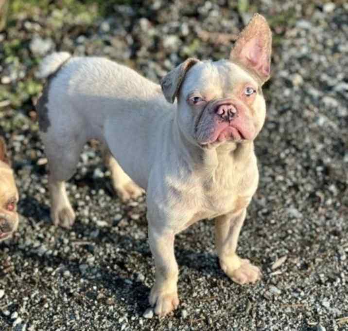 Photo of Casper
