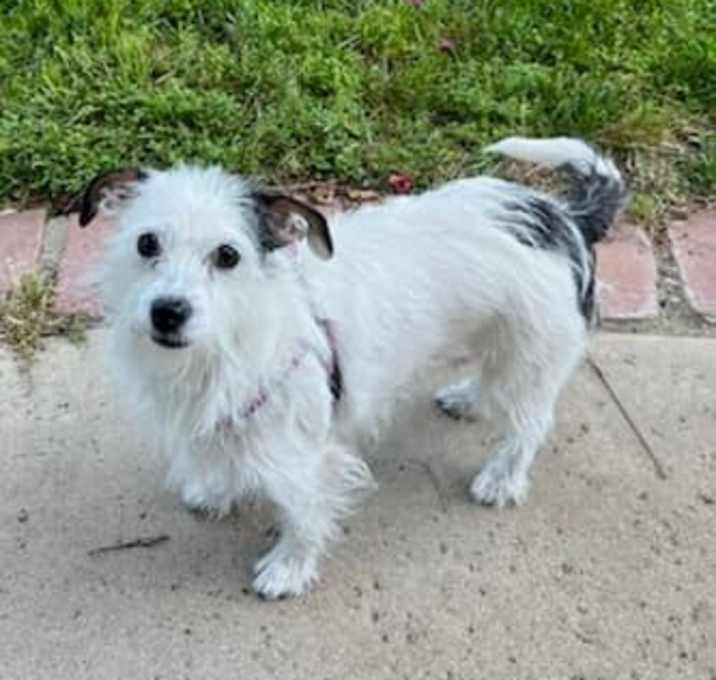 Photo of Olivia