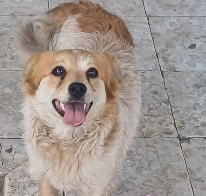 Photo of Goya