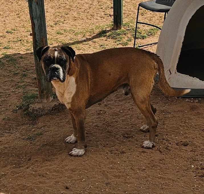 Photo of Spartacus
