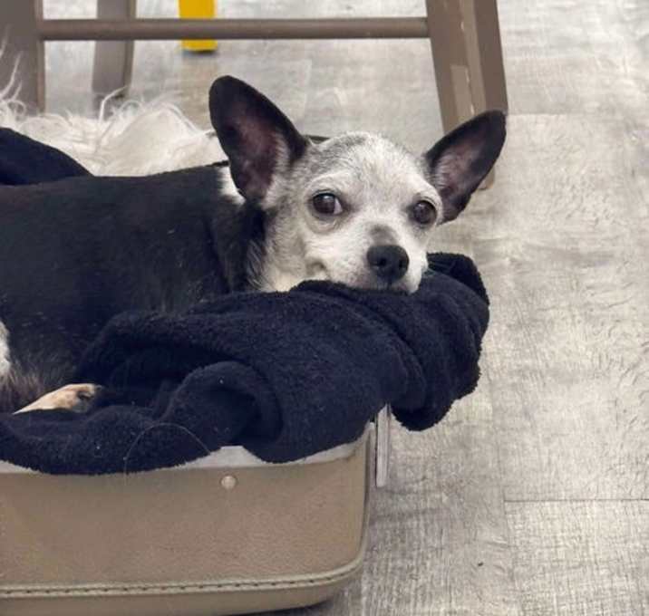 Photo of Ethel