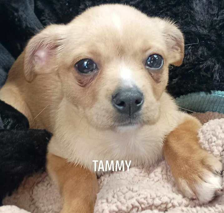 Photo of Tammy