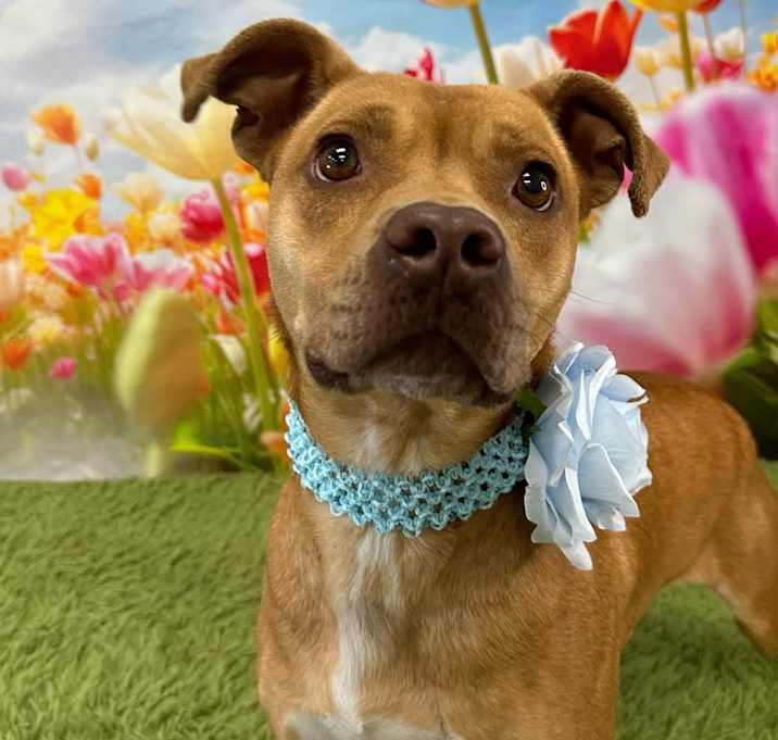 Photo of Reign