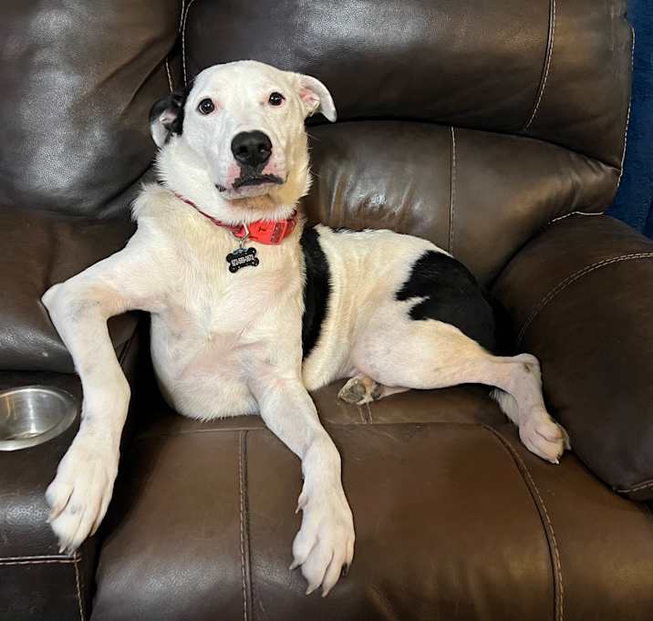 Photo of Charlie
