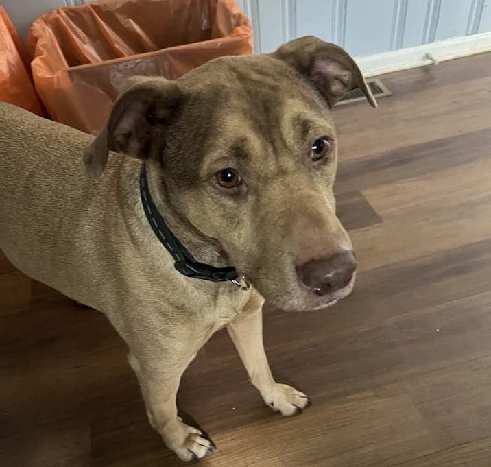 Photo of Zeus