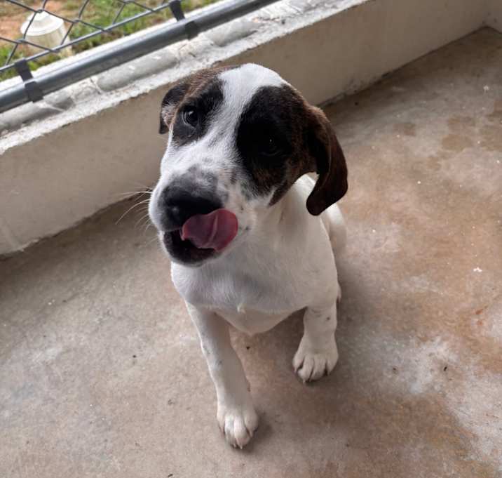 Photo of Charlie 4966