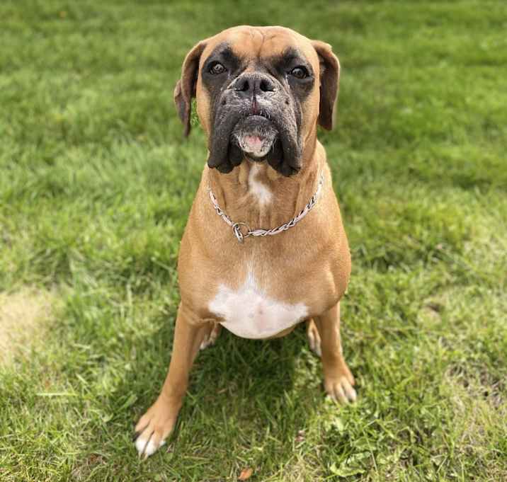 Photo of Olivia