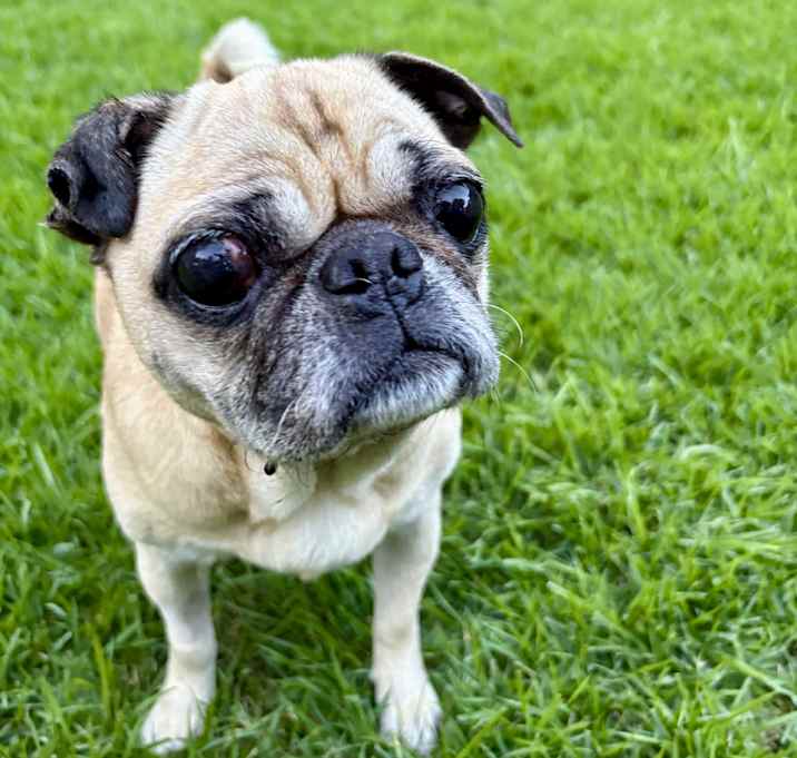 Photo of Peggy