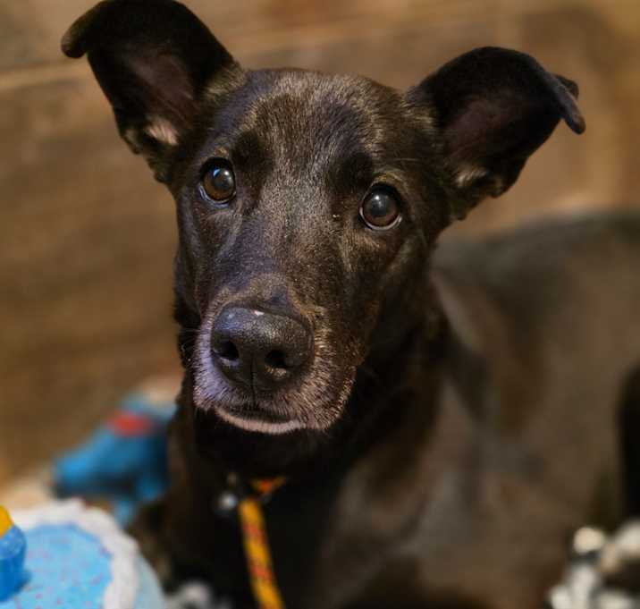 Photo of Mosey