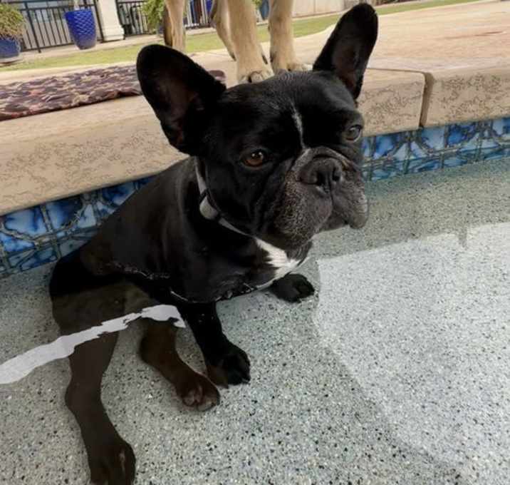 Photo of Lola