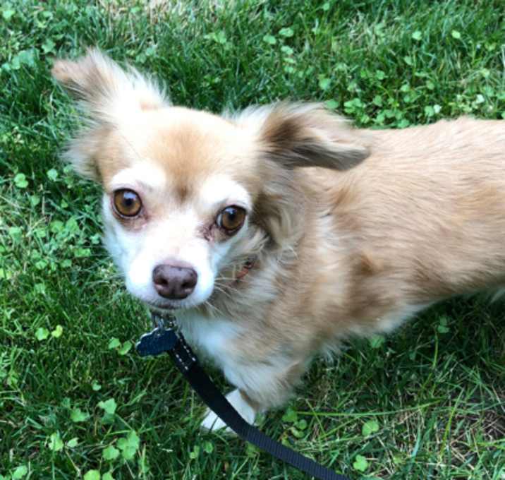 Photo of Abby