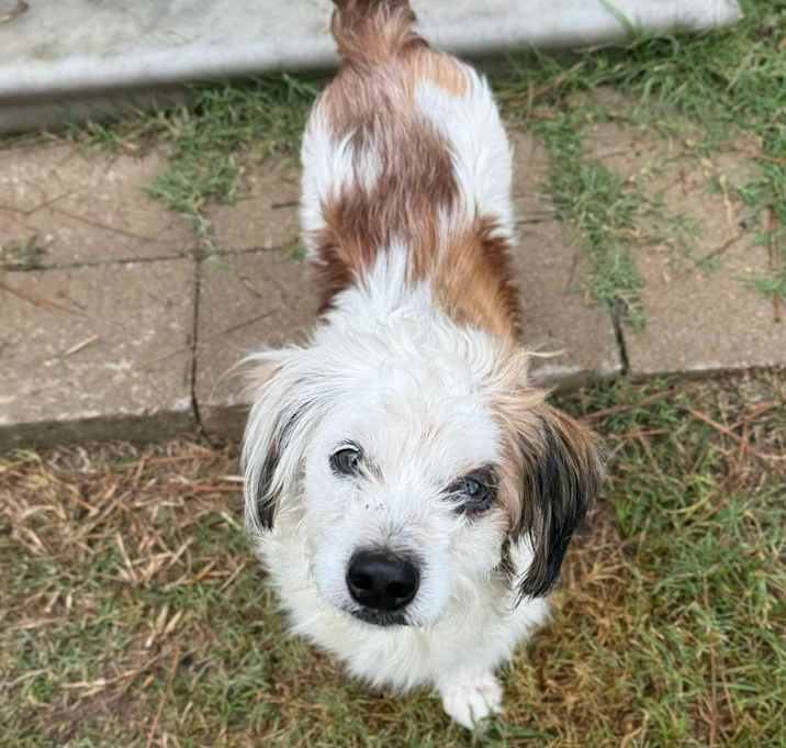 Photo of Boots McGee