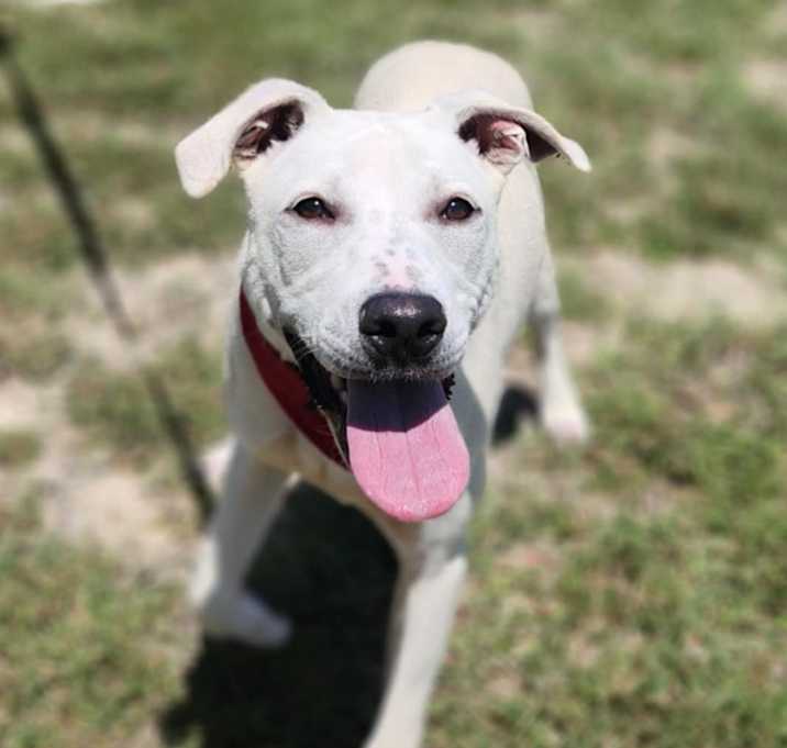 Photo of Loki FM