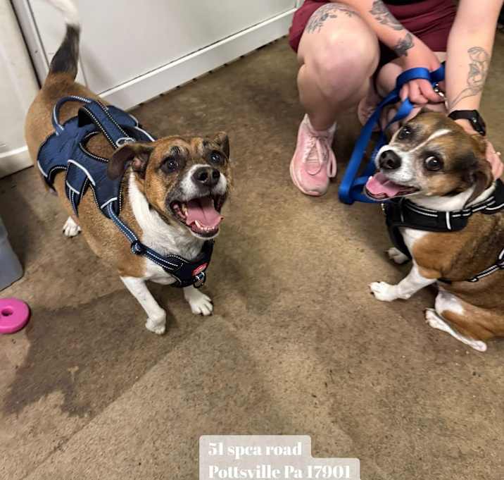 Photo of Roscoe & Barney