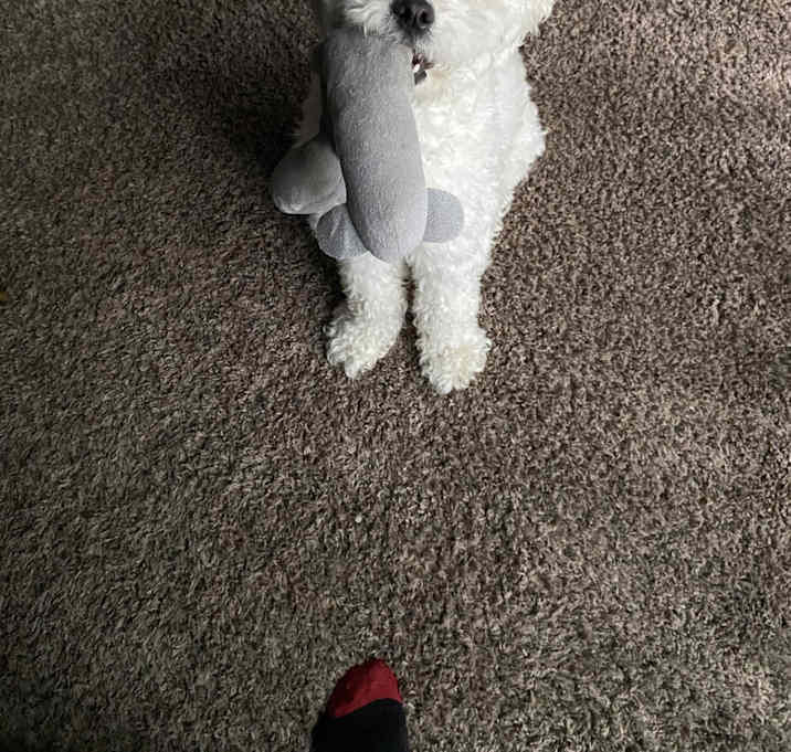 Photo of Charlie