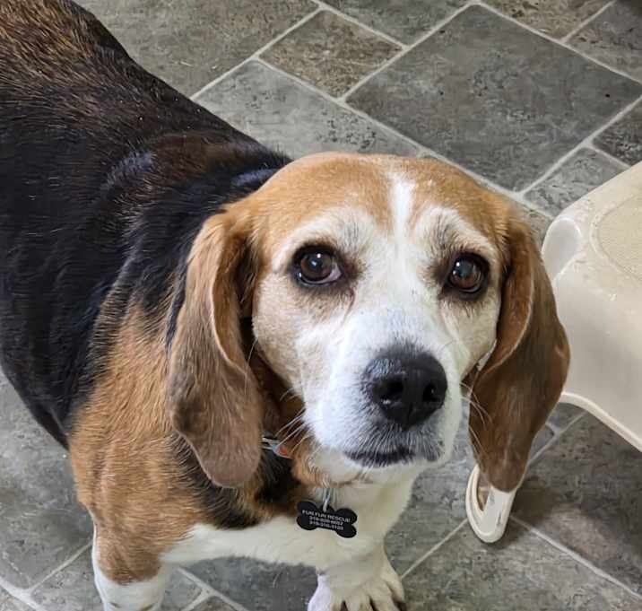 Photo of Sloopy
