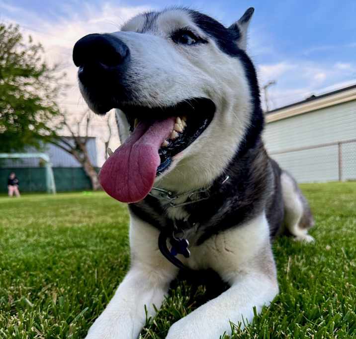 Photo of Finn