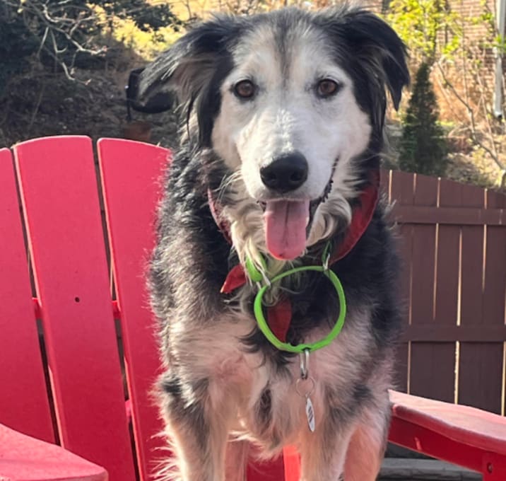 Photo of Zuzu