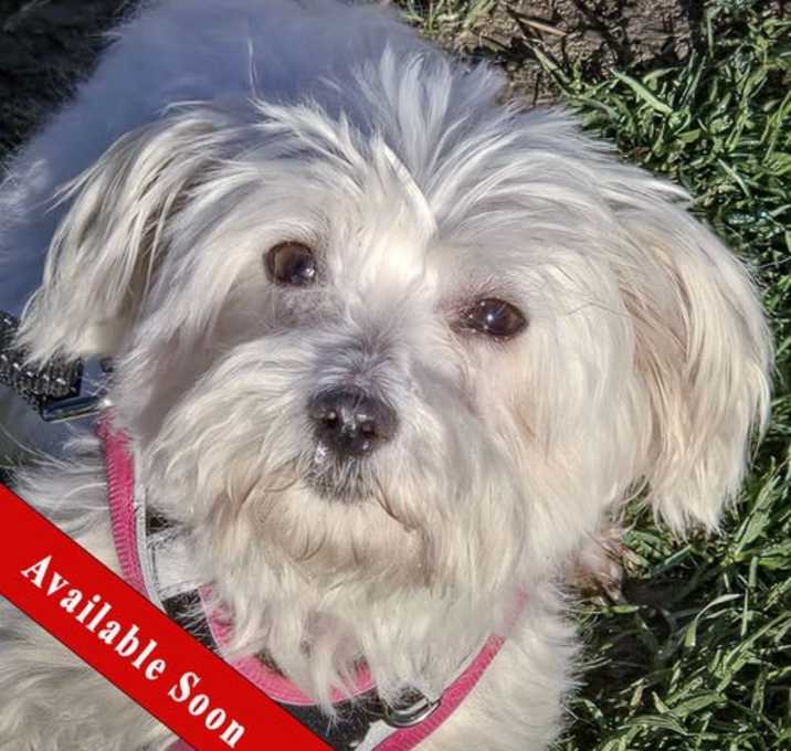 Photo of Tammy
