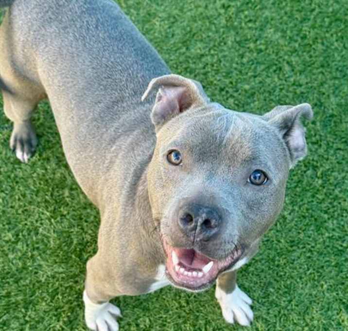 Photo of LOLA