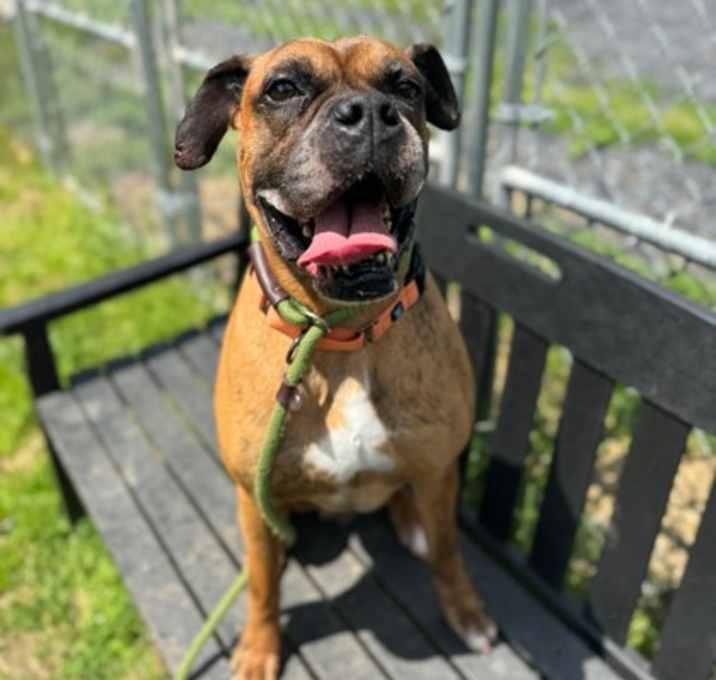 Photo of Gator