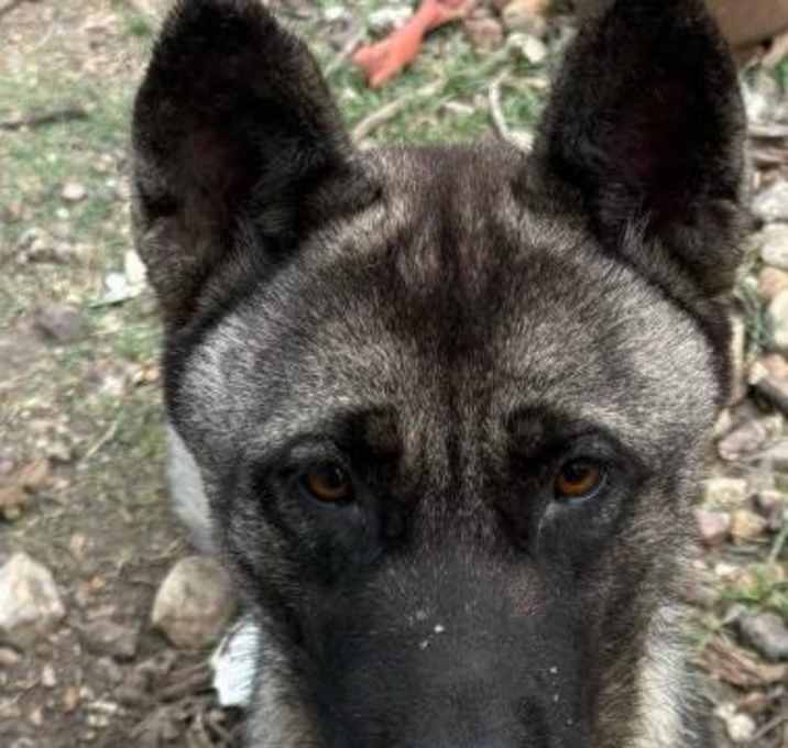 Photo of OSA