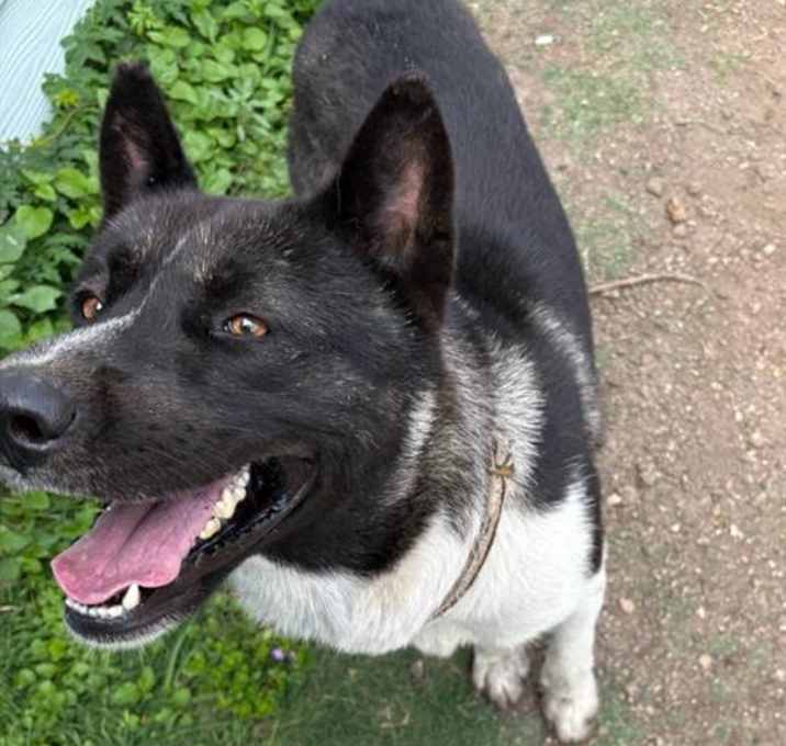 Photo of OSO