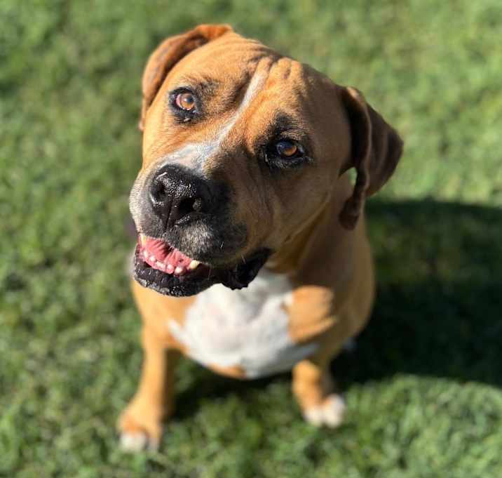 Photo of Asher