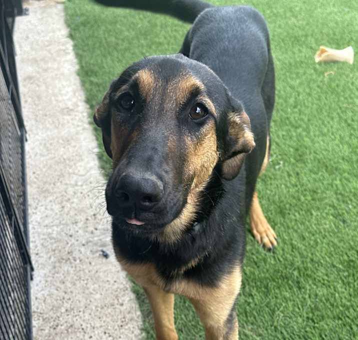 Photo of Moxie