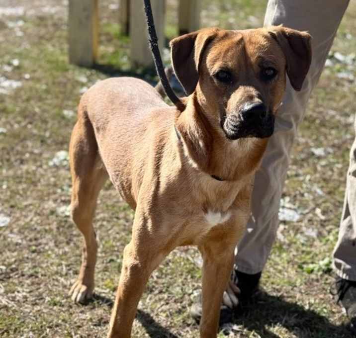 Photo of Gus 23D-0406