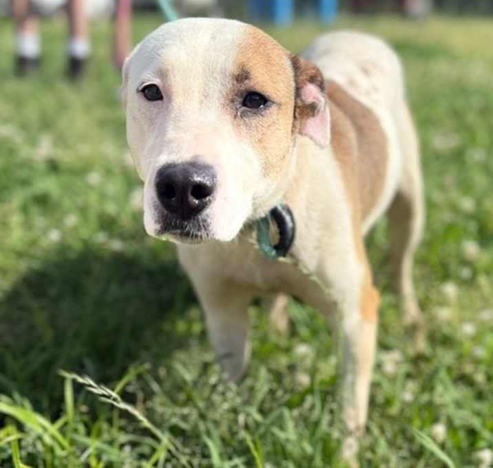 Photo of Rina 25D-042