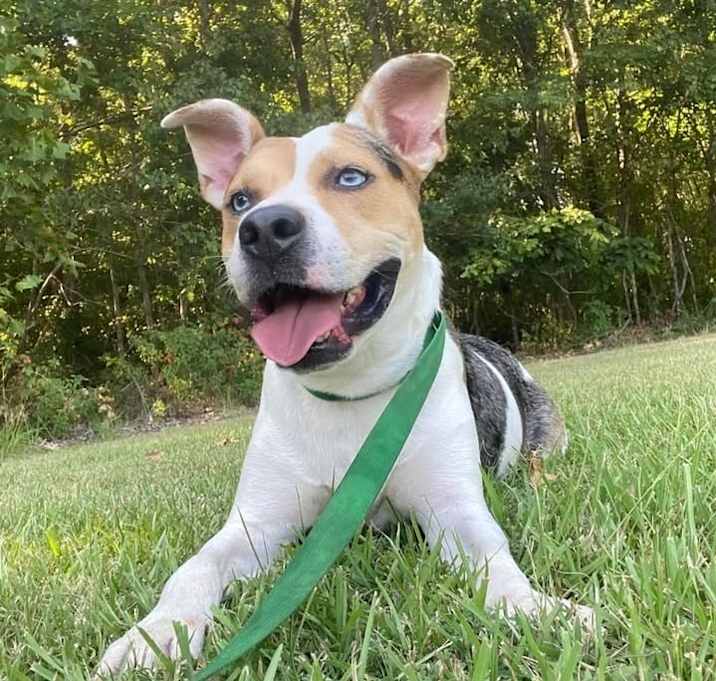 Photo of Frank (21D-0966)