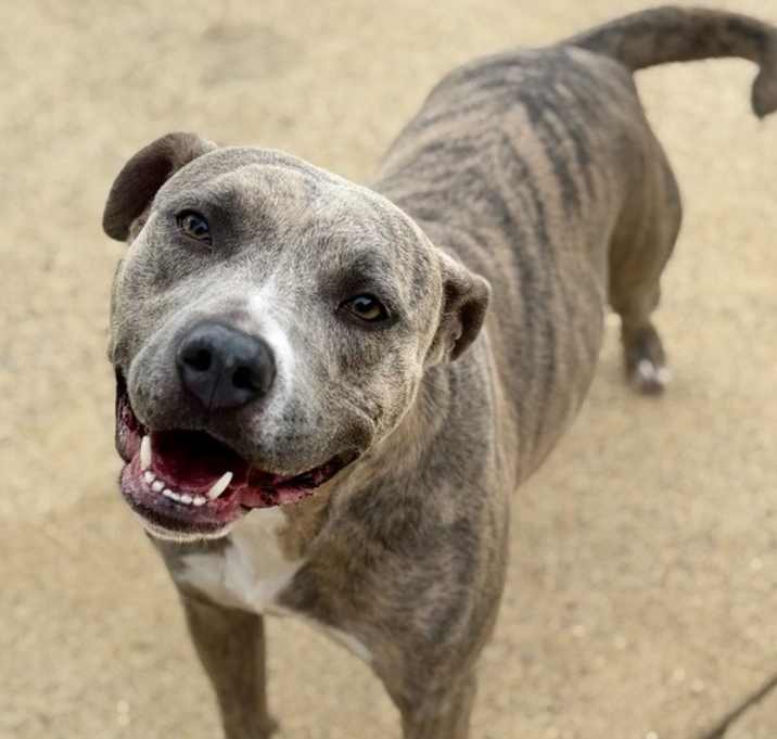 Photo of Sadie 23D-0194