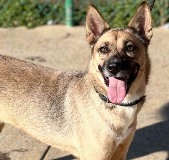Photo of Maude 23D-0206